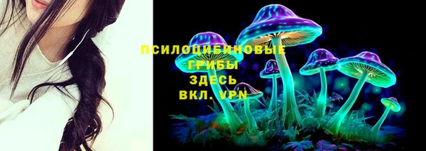 соль ск Верхний Тагил