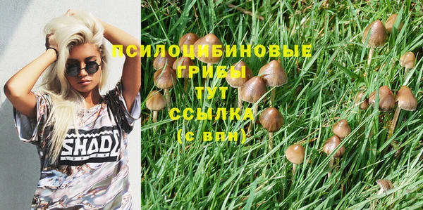 СК Бугульма