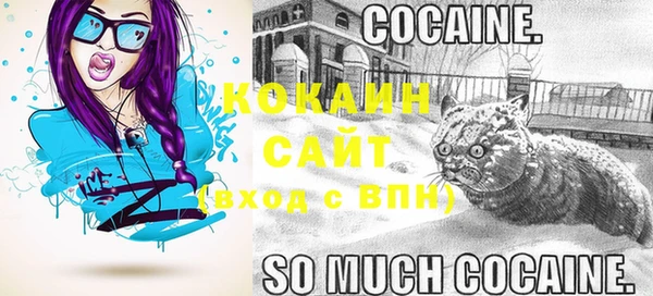шишки Бронницы