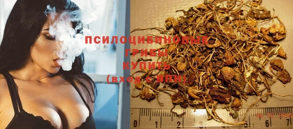 дурь Бородино