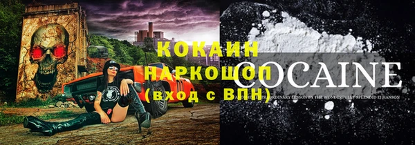 дурь Бородино