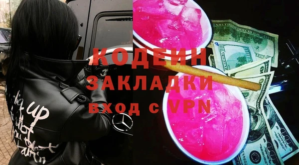 дурь Бородино