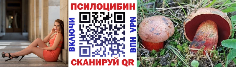 Галлюциногенные грибы Psilocybine cubensis  kraken зеркало  Белгород  купить наркотик 